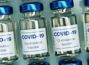 WHO Monitors Global Spread of New Covid Variant JN.1