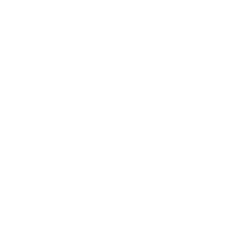 Nursdoc - Eyes-on and Fit-to-fly Assessments