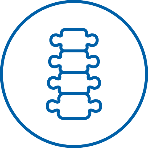 Spinal Cord Injury Icon