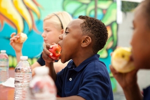 New Rules to Transform School Meals in England